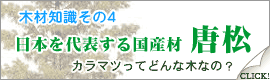 唐松(カラマツ)について